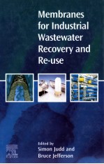 Membranes for lndustrial Wastewater Recovery and Re-use