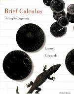 BRIEF CALCULUS AN APPLIED APPROACH SIXTH EDITION