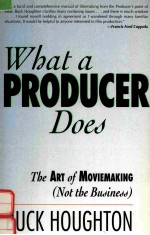 WHAT A PRODUCER DOES THE ART OF MOVIEMAKING (NOT THE BUSINESS)