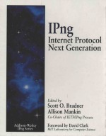 ipng internet protocol next generation