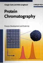 PROTEIN CHROMATOGRAPHY  PROCESS DEVELOPMENT AND SCALE-UP