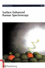 SURFACE ENHANCED RAMAN SPECTROSCOPY  IMPERIAL COLLEGE LONDON 19-21 SEPTEMBER 2005  VOLUME 132，2006