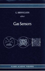 GAS SENSORS