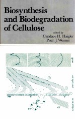 BIOSYNTHESIS AND BIODEGRADATION OF CELLULOSE