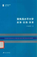 聚焦高水平大学  政策  实践  探索