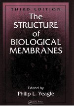 THE STRUCTURE OF BIOLOGICAL MEMBRANES  THIRD EDITION