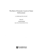 THE ROLE OF DOMESTIC COURTS IN TREATY ENFORCEMENT