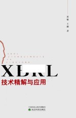 XBRL技术精解与应用