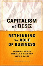 capitalism at risk rethinking the role of business