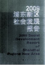 2009浦东新区社会发展报告