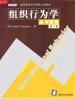 组织行为学：基本原则：2版