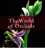 THE WORLD OF ORCHIDS