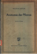 Anatomie der Pflanze