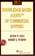 KNOWLEDGE-BASED AUDITS OF COMMERCIAL ENTITIES  2013