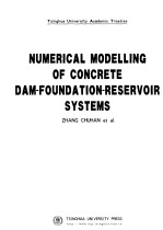 混凝土坝-地基-库水系统的数值模拟  英文版