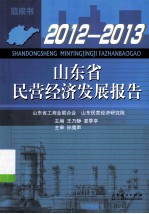 山东省民营经济发展报告  2012-2013