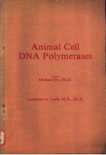 Animal Cell DNA Polymerases