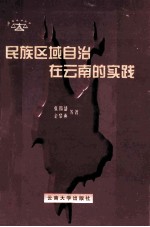 民族区域自治在云南的实践