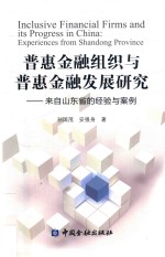 普惠金融组织与普惠金融发展研究  来自山东省的经验与案例