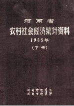 河南省农村社会经济统计资料  1985年  下