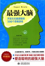 最强大脑  开发左右脑潜能的500个思维游戏