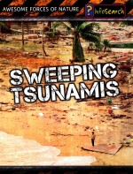 sweeping tsunamisrevised and updated