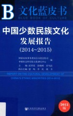 皮书系列  中国少数民族文化发展报告  2014-2015