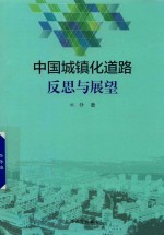 中国城镇化道路反思与展望