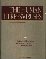 THE HUMAN HERPESVIRUSES