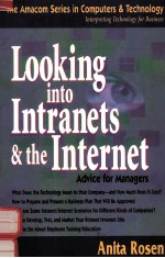 LOOKING INTO INTRANETS AND THE INTERNET ADVICE FOR MANAGERS