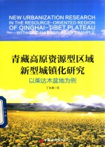 青藏高原资源型区域新型城镇化研究  以柴达木盆地为例