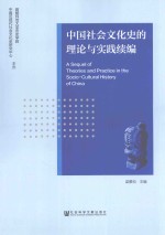 中国社会文化史的理论与实践续编