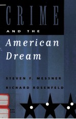 CRIME AND THE AMERICAN DREAM SECOND EDITION