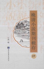 晚清小说期刊辑存  第17册