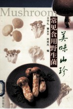 美味山珍  常见食用野生菌