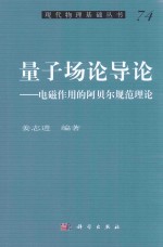 量子场论导论  电磁作用的阿贝尔规范理论