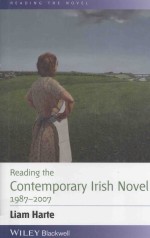 reading the contemporary irish novel  1987-2007