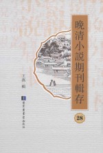 晚清小说期刊辑存  第28册