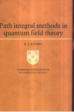 Path integral methods in quantum field theory