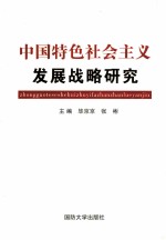 中国特色社会主义发展战略研究