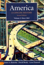 AMERICA A CONSISE HISTORY SECOND EDITION WOLUME 2 SINCE 1865