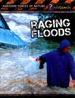 raging floods  revised and updated