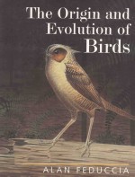 THE ORIGIN AND EVOLUTION OF BIRDS