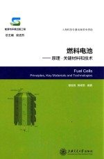 燃料电池  原理·关键材料和技术