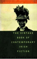 THE VINTAGE BOOK OF CONTEMPORARY IRISH FICTION