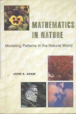 mathematics in nature modeling patters in the natural world