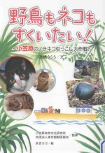 野鳥もネコもすくいたい!：小笠原のノラネコ引つこし大作戦