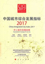 中国城市综合发展指标2017  中心城市发展战略