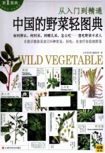 中国的野菜轻图典