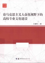 论马克思主义大众化视野下的高校专业文化建设